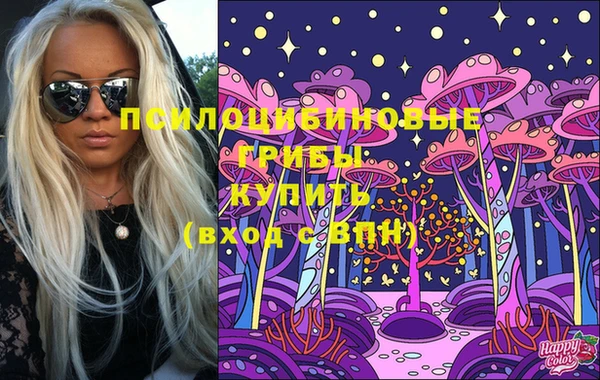 ECSTASY Алексин