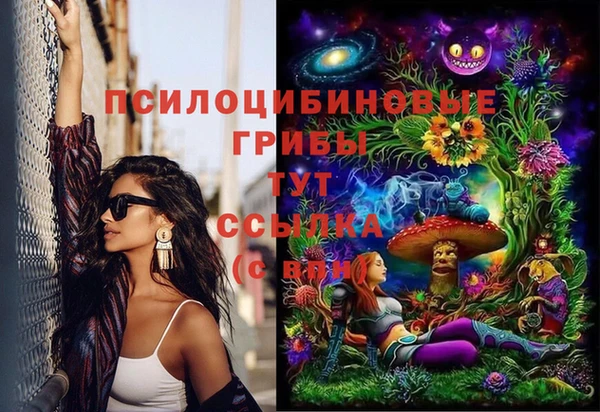 ECSTASY Алексин