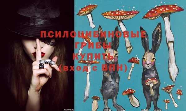 крисы Алзамай